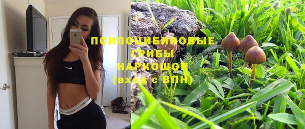 кристаллы Няндома