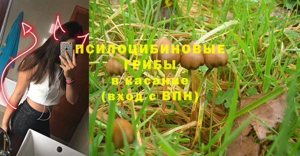 кристаллы Няндома