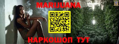 стафф Гатчина