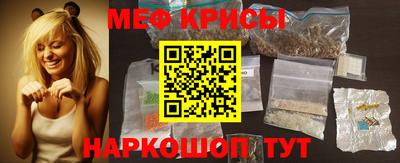 стафф Гатчина