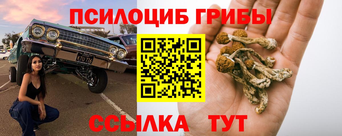 Галлюциногенные грибы мухоморы  Вход с VPN  Галлюциногенные грибы Magic Shrooms  Томск 
