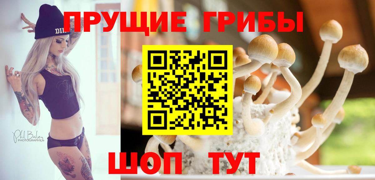 Псилоцибиновые грибы ЛСД Томск